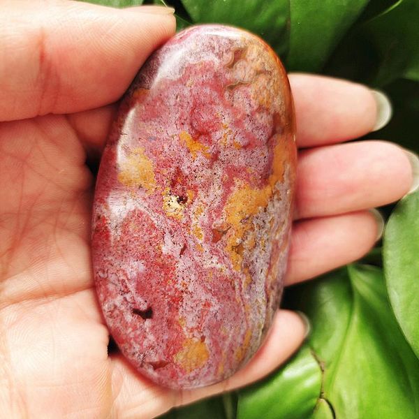 decorative objects & figurines natural stone marine jasper palm healing crystals collection stones and
decorative objects & figurines natural stone marine jasper palm healing crystals collection stones and