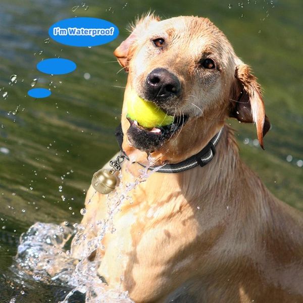 car gps & accessories pet dog tracker locator bell waterproof electronic anti-lost tracking device with collar drop ship
car gps & accessories pet dog tracker locator bell waterproof electronic anti-lost tracking device with collar drop ship
