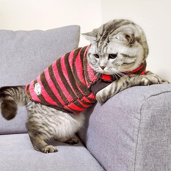 pet cat autumn and winter warm clothes bottom coat brown stripe plush is suitable for kitten fashion alternative costumes
pet cat autumn and winter warm clothes bottom coat brown stripe plush is suitable for kitten fashion alternative costumes