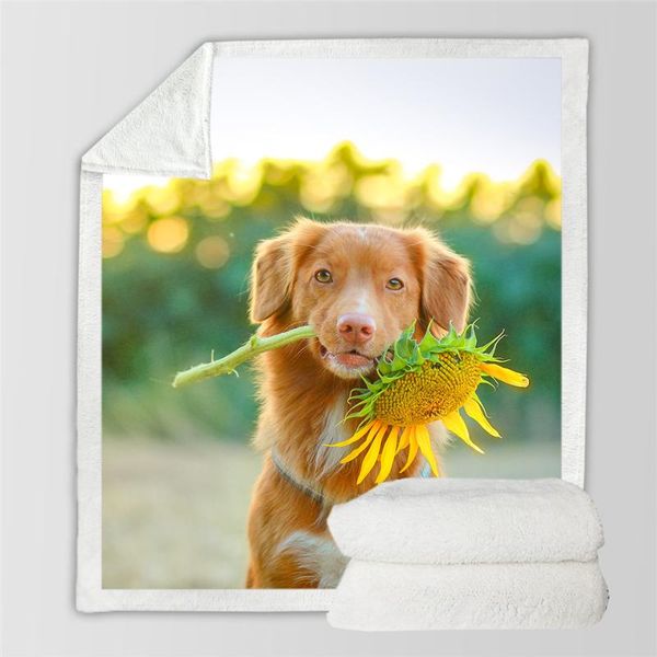 blankets flower sunflower funny character blanket 3d print sherpa on bed home textiles dreamlike style 01
blankets flower sunflower funny character blanket 3d print sherpa on bed home textiles dreamlike style 01