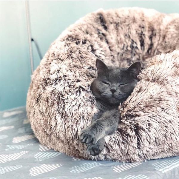 cat beds & furniture round plush bed house soft long carpet quality dog washable pet cot camas para gato products jj60mw
cat beds & furniture round plush bed house soft long carpet quality dog washable pet cot camas para gato products jj60mw