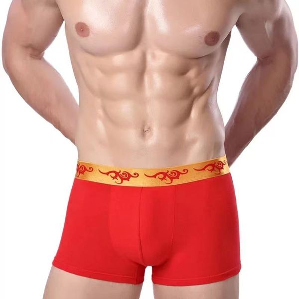 underpants 3pcs men's panties cotton wedding big red pure boxer fashion design exotic clothing drop, Black;white
underpants 3pcs men's panties cotton wedding big red pure boxer fashion design exotic clothing drop, Black;white