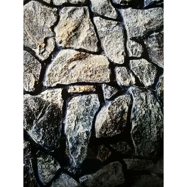 decorations 8019 23.3" x 60" double sided background aquarium decoration rock / night woods fish tank picture poster
decorations 8019 23.3" x 60" double sided background aquarium decoration rock / night woods fish tank picture poster