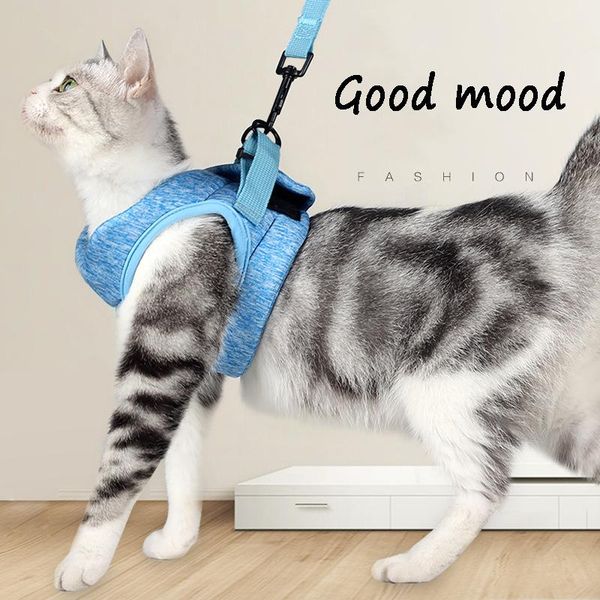 cat collars & leads pet chest strap dog leash cats products harness and set for pets breathable vest traction rope clothe l size
cat collars & leads pet chest strap dog leash cats products harness and set for pets breathable vest traction rope clothe l size