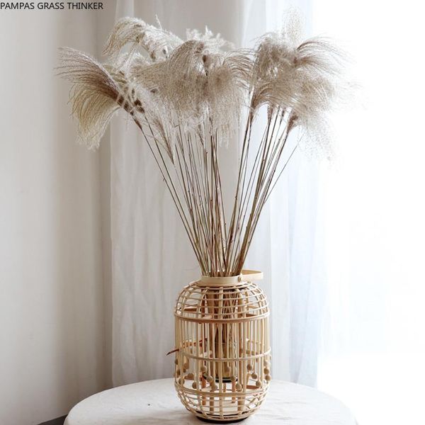 decorative flowers & wreaths 30pcs wedding pampas decor flower bunch big grass home art reed natural dried plant for window display
decorative flowers & wreaths 30pcs wedding pampas decor flower bunch big grass home art reed natural dried plant for window display