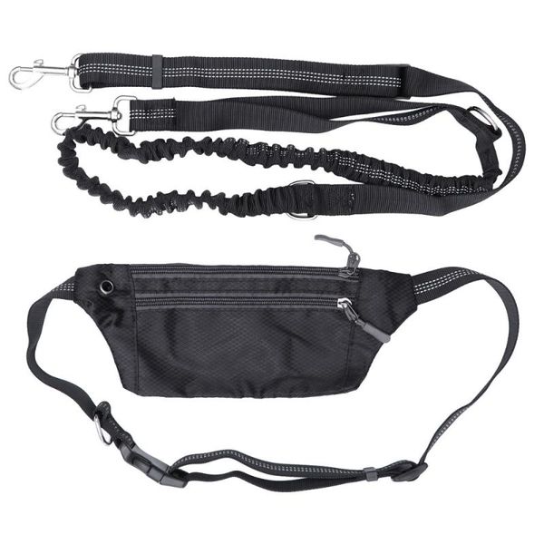waist support hands dog leash with pack absorbing bungee kit for walking running training jogging (black, random zipper), Black;gray
waist support hands dog leash with pack absorbing bungee kit for walking running training jogging (black, random zipper), Black;gray
