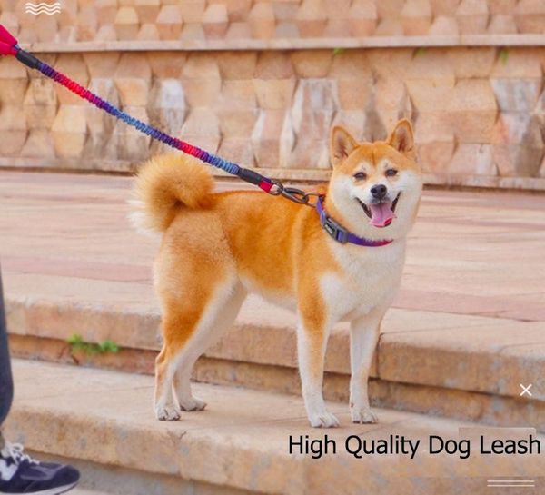 training pet dog leash rope nylon adjustable lead strap traction harness collar collars & leashes
training pet dog leash rope nylon adjustable lead strap traction harness collar collars & leashes