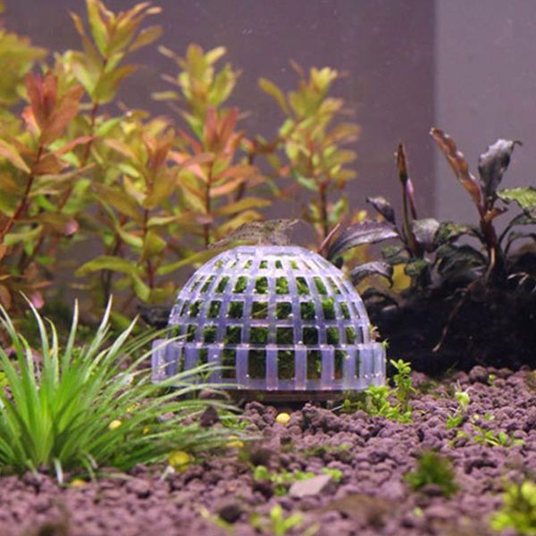 plastic aquarium decoration live plant cover fish tank media moss ball filter aquatic pet mineral shaping balls decor tools decorations
plastic aquarium decoration live plant cover fish tank media moss ball filter aquatic pet mineral shaping balls decor tools decorations