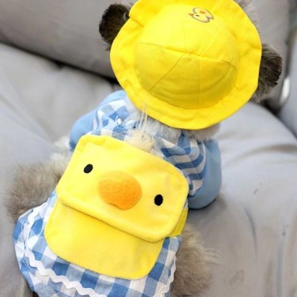 the dog clothes kindergarten dog clothes cat thin teddy funny spring summer autumn hat pet products
the dog clothes kindergarten dog clothes cat thin teddy funny spring summer autumn hat pet products