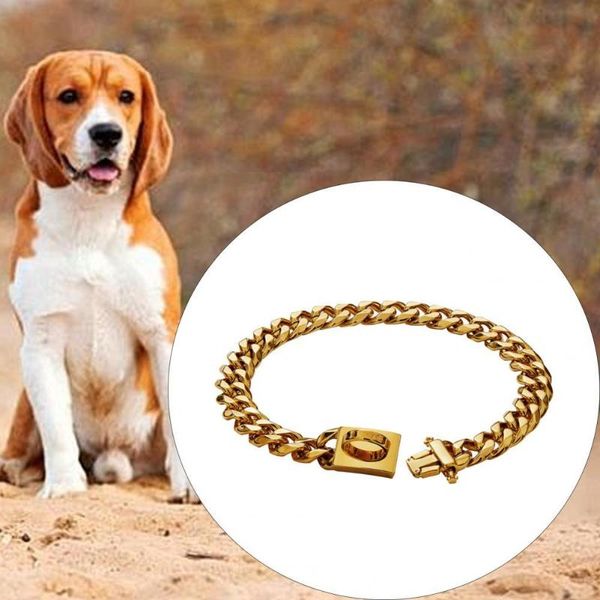 stainless steel golden color buckle design dog choker collar for pet supplies collars & leashes
stainless steel golden color buckle design dog choker collar for pet supplies collars & leashes