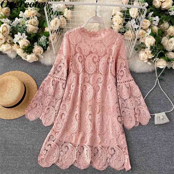 arrival a-line lace dress two piece set women's o-neck long flare sleeve hollow water-soluble loose with sling 210602, Black;gray
arrival a-line lace dress two piece set women's o-neck long flare sleeve hollow water-soluble loose with sling 210602, Black;gray