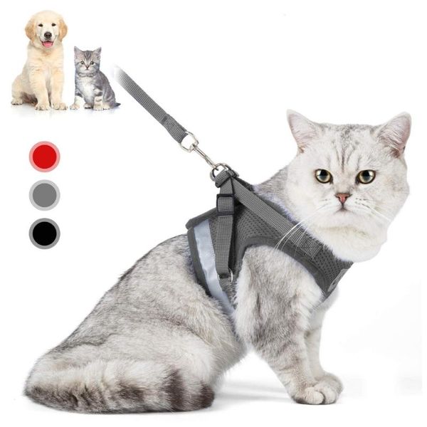 cat harness and leash set adjustable reflective soft padded jacket chihuahua dog vest collars & leads
cat harness and leash set adjustable reflective soft padded jacket chihuahua dog vest collars & leads