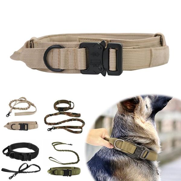 dog collars & leashes nylon collar pet leash set with adjustable release buckle for outdoor training walking supplies
dog collars & leashes nylon collar pet leash set with adjustable release buckle for outdoor training walking supplies