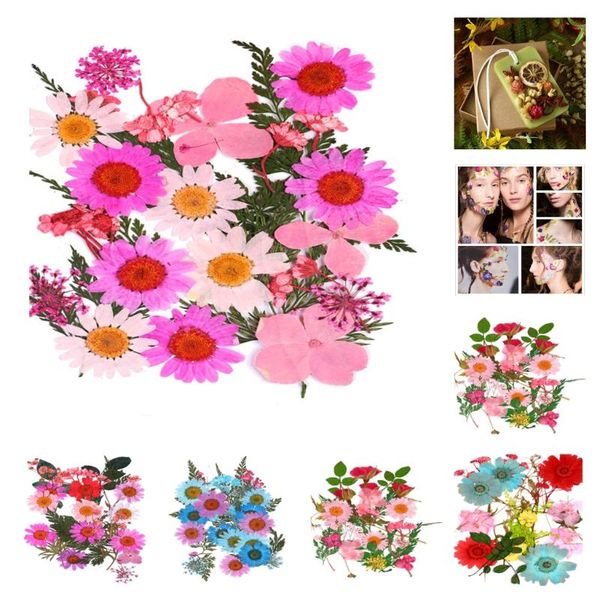 decorative flowers & wreaths 25pc real pressed dried leaves for diy epoxy resin jewelry arts crafts
decorative flowers & wreaths 25pc real pressed dried leaves for diy epoxy resin jewelry arts crafts