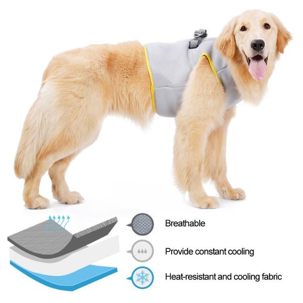 dog apparel pet mesh cooler jacket clothes summer comfortable breathable cooling camisole adjustable quick release costume
dog apparel pet mesh cooler jacket clothes summer comfortable breathable cooling camisole adjustable quick release costume