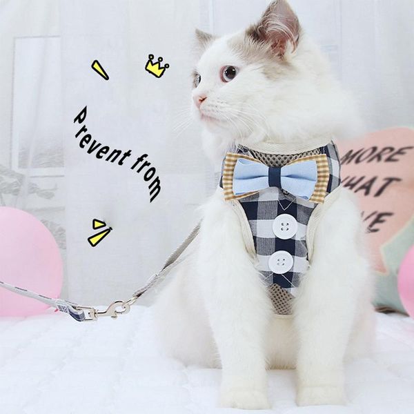 cat collars & leads 2021 vest type traction collar small and medium belt kiteen leash animals walking good assistant pets chest harness
cat collars & leads 2021 vest type traction collar small and medium belt kiteen leash animals walking good assistant pets chest harness
