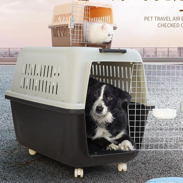 cat carriers,crates & houses pet air box dog portable out cage empty transport check travel car
cat carriers,crates & houses pet air box dog portable out cage empty transport check travel car