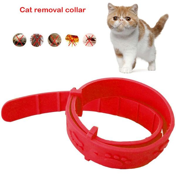 cat collars & leads 2pcs pet flea collar adjustable against anti tick quick kill remove protect repel rubber necklace for free
cat collars & leads 2pcs pet flea collar adjustable against anti tick quick kill remove protect repel rubber necklace for free
