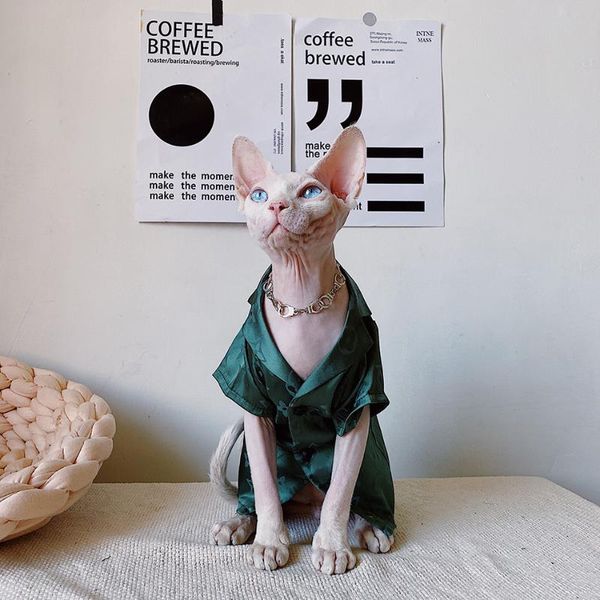 cat costumes sphinx clothes luxury silk for cats sphynx sleep soft comfort sphinksu clothing kittens hairless coat
cat costumes sphinx clothes luxury silk for cats sphynx sleep soft comfort sphinksu clothing kittens hairless coat