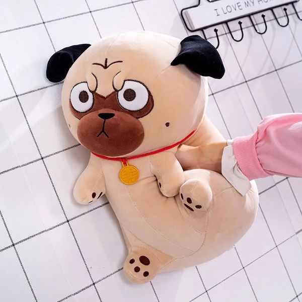 a variety of sizes and shapes of the emperor cat shar pei stuffed animal toy doll for boys and girls birthday and christmas gift
a variety of sizes and shapes of the emperor cat shar pei stuffed animal toy doll for boys and girls birthday and christmas gift