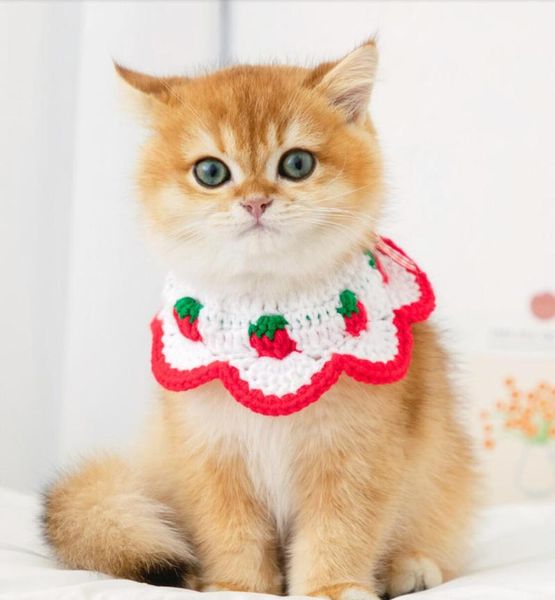 cute handmade wool knitted pet bib japanese cat collar soft comfortable custom costumes
cute handmade wool knitted pet bib japanese cat collar soft comfortable custom costumes