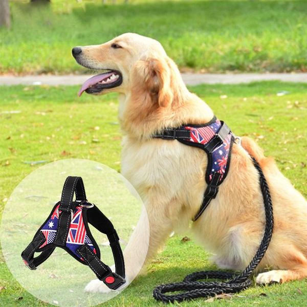 dog collars & leashes adjustable fancy harness chest vest for large dogs reflective and breathable collar no pull soft mesh pet supplies pro
dog collars & leashes adjustable fancy harness chest vest for large dogs reflective and breathable collar no pull soft mesh pet supplies pro
