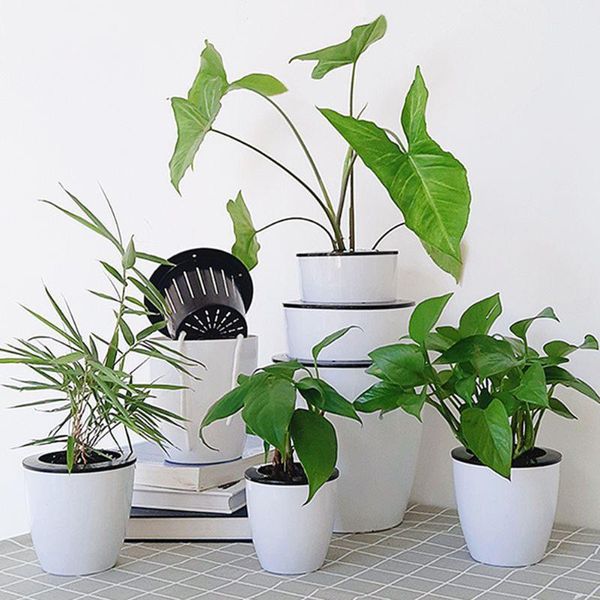 planters & pots automatic water absorbing lazy flower pot succulent plant bonsai plastic tray hydroponic potted storage container balcony ho
planters & pots automatic water absorbing lazy flower pot succulent plant bonsai plastic tray hydroponic potted storage container balcony ho