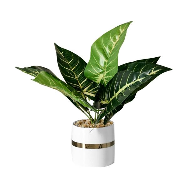 decorative flowers & wreaths indoor outdoor bedroom party plants floral arrangement wedding fake artificial flower pot garden patio home dec
decorative flowers & wreaths indoor outdoor bedroom party plants floral arrangement wedding fake artificial flower pot garden patio home dec
