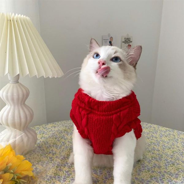cat winter clothes knitted pet sweater for small dogs puppy vest shirts clothing costumes
cat winter clothes knitted pet sweater for small dogs puppy vest shirts clothing costumes
