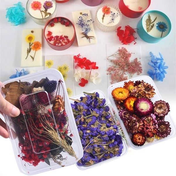 decorative flowers & wreaths 1 box real mix dried for resin jewellery dry plants pressed making craft diy accessories
decorative flowers & wreaths 1 box real mix dried for resin jewellery dry plants pressed making craft diy accessories