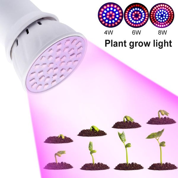 low heat e27 led grow light plant culturing lamp holder for indoor flowers 4/6/8w growing lights 220v 110v red+blue
low heat e27 led grow light plant culturing lamp holder for indoor flowers 4/6/8w growing lights 220v 110v red+blue