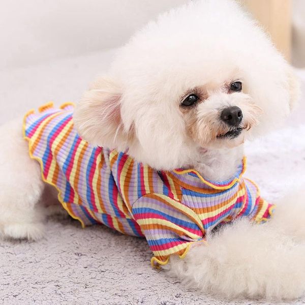 dog apparel pet cat striped vest rainbow two-legged sweater durable soft comfortable breathable clothes
dog apparel pet cat striped vest rainbow two-legged sweater durable soft comfortable breathable clothes