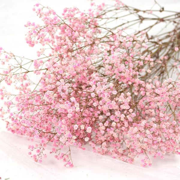 decorative flowers & wreaths dekoration 80g real natural fresh preserve floral gedroogde babysbreath bouquet gypsophila bloemen gypsophile w
decorative flowers & wreaths dekoration 80g real natural fresh preserve floral gedroogde babysbreath bouquet gypsophila bloemen gypsophile w