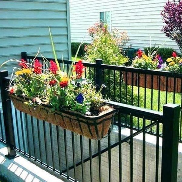 garden decorations balcony vegetable flower natural planter creative bowl-shaped coconut flowerpot replaces hanging basket round lining
garden decorations balcony vegetable flower natural planter creative bowl-shaped coconut flowerpot replaces hanging basket round lining