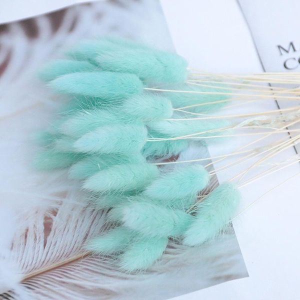 dried flower bouquet artificial lagurus ovatus decoration for home el wedding iq6 decorative flowers & wreaths
dried flower bouquet artificial lagurus ovatus decoration for home el wedding iq6 decorative flowers & wreaths