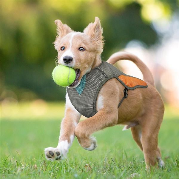 dog apparel popetpop summer pet cooling jacket breathable cooler vest reflective safety puppy harness size l (orange)
dog apparel popetpop summer pet cooling jacket breathable cooler vest reflective safety puppy harness size l (orange)