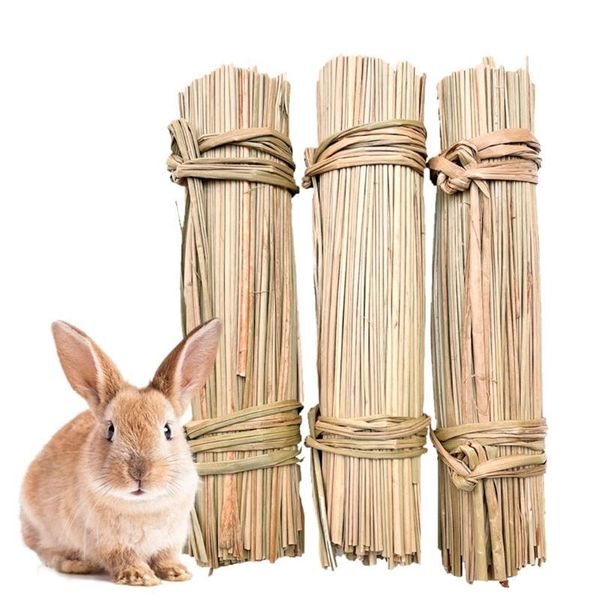 small animal supplies 3 rolls interactive hay natural activity chew toys rabbits bird parrot play sticks grass
small animal supplies 3 rolls interactive hay natural activity chew toys rabbits bird parrot play sticks grass