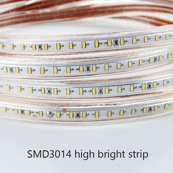 220v led strip light smd 3014 waterproof ip67 warm white blue outdoor tape rope with power plug dimmable 120leds/m flexible lamp strips
220v led strip light smd 3014 waterproof ip67 warm white blue outdoor tape rope with power plug dimmable 120leds/m flexible lamp strips