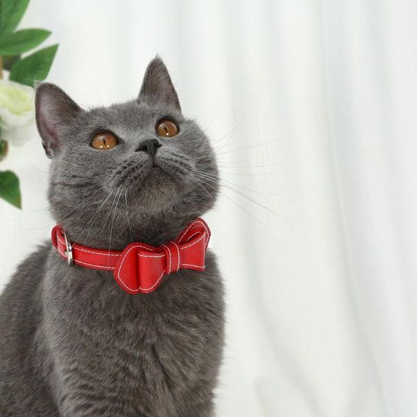 solid color trendy fashion bow cat dog collarpet bowtie collar suitable for small and medium cats dogs collars & leads
solid color trendy fashion bow cat dog collarpet bowtie collar suitable for small and medium cats dogs collars & leads