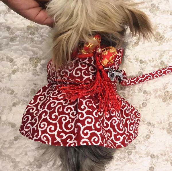 dog apparel current tide cat harness pet leash vest dress designer fashion adjustable small medium puppy flower printing
dog apparel current tide cat harness pet leash vest dress designer fashion adjustable small medium puppy flower printing