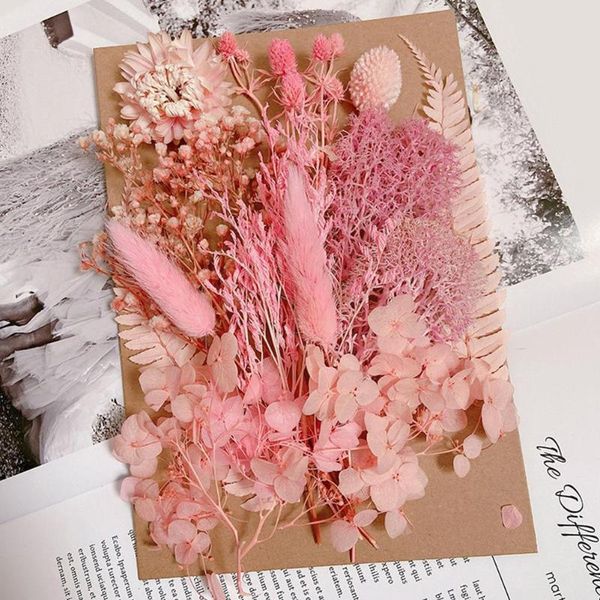 decorative flowers & wreaths mixed preserved dried material bag for wedding party gift home holiday decoration diy accessory l3o3
decorative flowers & wreaths mixed preserved dried material bag for wedding party gift home holiday decoration diy accessory l3o3