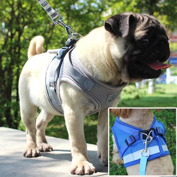 dog collars & leashes reflective safety pets chest harness sets for small medium dogs cats fashion breathable harnesses vest puppy chests st
dog collars & leashes reflective safety pets chest harness sets for small medium dogs cats fashion breathable harnesses vest puppy chests st