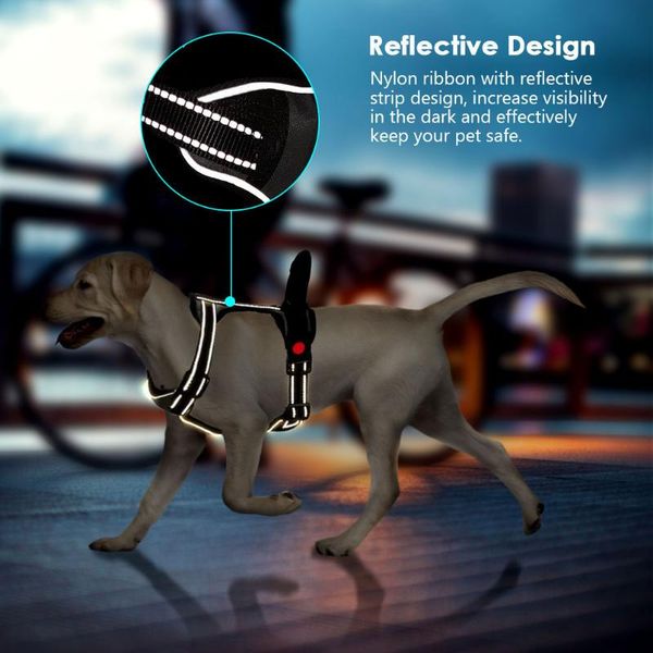 dog collars & leashes petacc outdoor adjustable big large harness and reflective vest with postpositive buckle for medium dogs
dog collars & leashes petacc outdoor adjustable big large harness and reflective vest with postpositive buckle for medium dogs