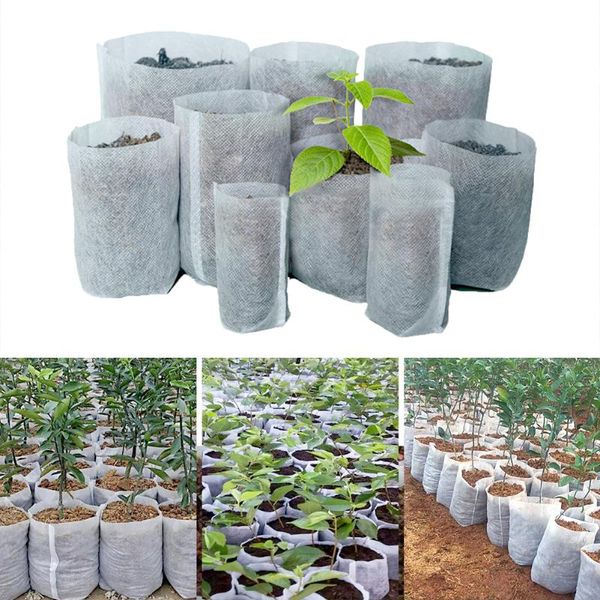 planters & pots 100pcs different sizes biodegradable non-woven seedling eco-friendly planting bags nursery bag plant grow for garden
planters & pots 100pcs different sizes biodegradable non-woven seedling eco-friendly planting bags nursery bag plant grow for garden