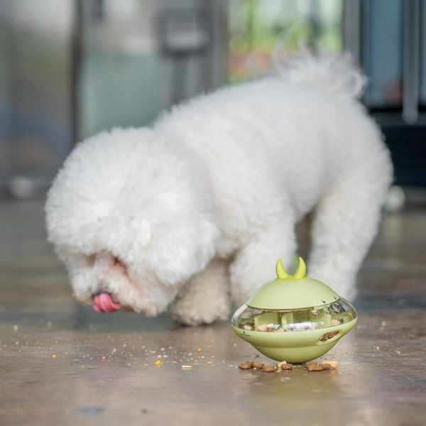 dog toys & chews funny interactive tumbler cat pet shaking leakage food container slow leaking ball puppy iq training toys-
dog toys & chews funny interactive tumbler cat pet shaking leakage food container slow leaking ball puppy iq training toys-