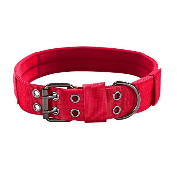 1.5" width military dog collar tactical for medium large outside training,walking and hunting length adjustable collars & leashes
1.5" width military dog collar tactical for medium large outside training,walking and hunting length adjustable collars & leashes