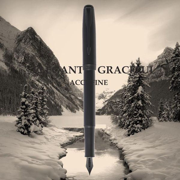 luxury fountain pen for writing metal ink pens school & office supplies gift korean stationery
luxury fountain pen for writing metal ink pens school & office supplies gift korean stationery