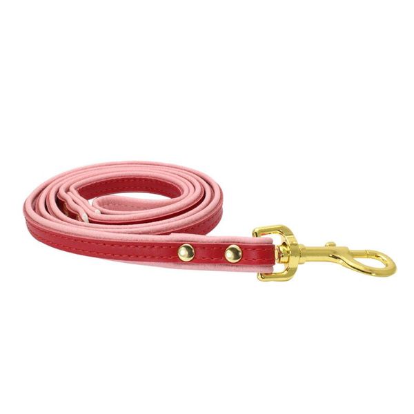 dog collars & leashes genuine leather small dogs harness leash puppy collar cats animals accessories for pets supplies chihuahua harnais chi
dog collars & leashes genuine leather small dogs harness leash puppy collar cats animals accessories for pets supplies chihuahua harnais chi