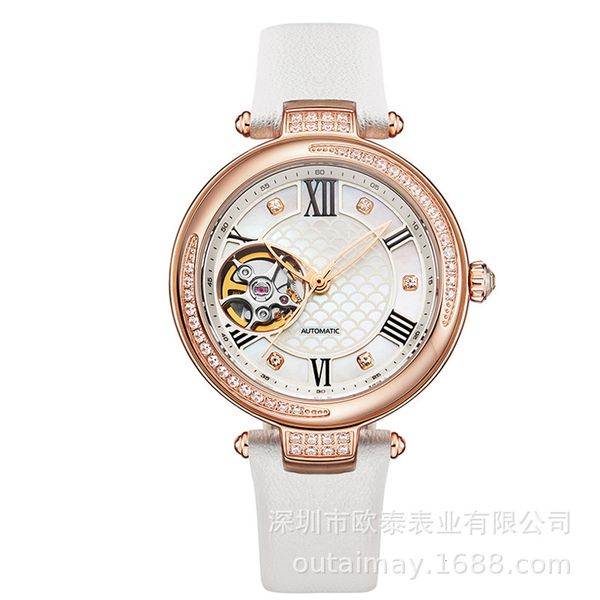 tiktok, mechanical watch, high-grade female shell lady luminous watch production, Slivery;brown
tiktok, mechanical watch, high-grade female shell lady luminous watch production, Slivery;brown