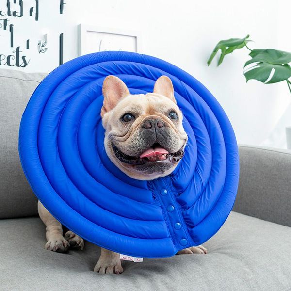 dog collars & leashes elizabeth circle method bucket neck the cat and fresh idea set pets defence lick headgear
dog collars & leashes elizabeth circle method bucket neck the cat and fresh idea set pets defence lick headgear